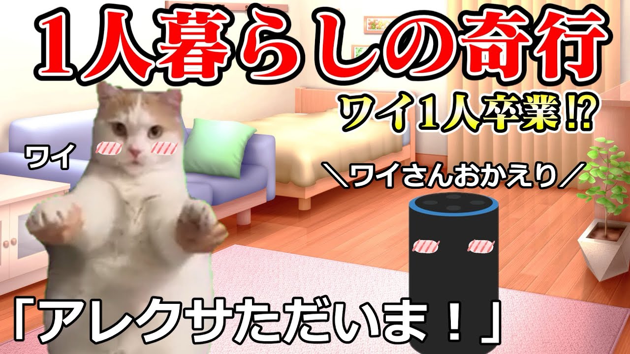 【発狂】寂しすぎるワイの一人暮らしの奇行 Part12 #猫ミーム #猫マニ