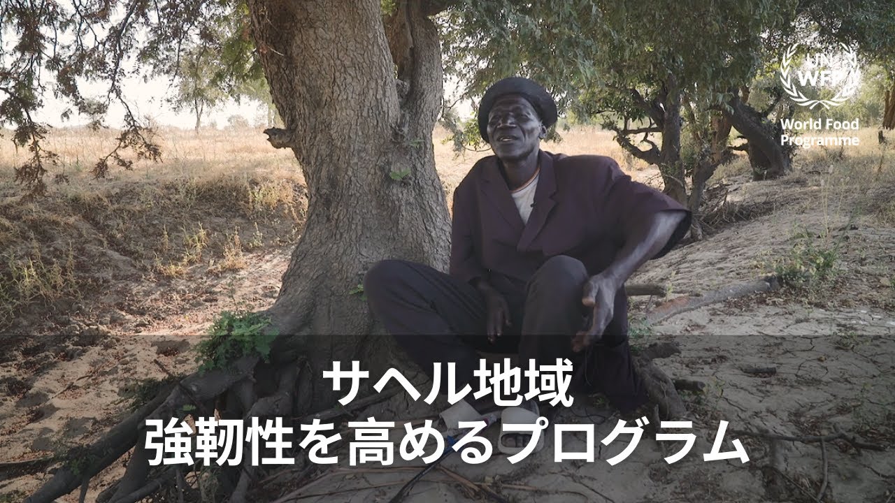 サヘル地域：強靭性を高めるプログラム