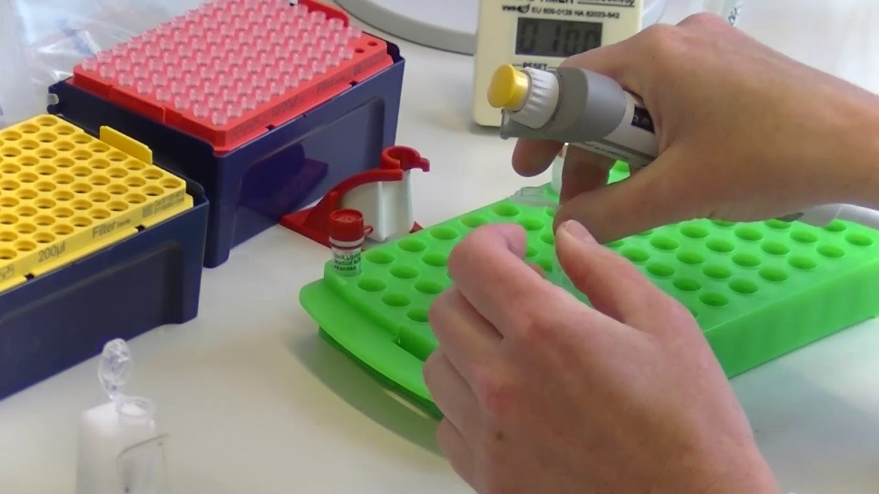 GTN Smorgasbord - Day 5 - Genomic DNA sequencing  by Oxford Nanopore MinIon