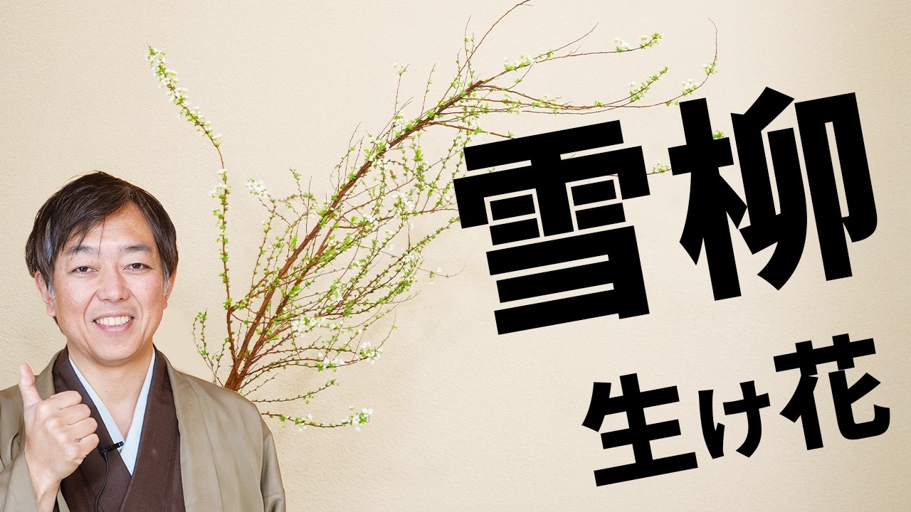 歴47年の華道家イチオシの生け花→,雪柳。
