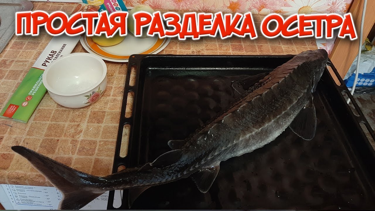 Как быстро почистить осетра без заморочек? Что важно знать!
