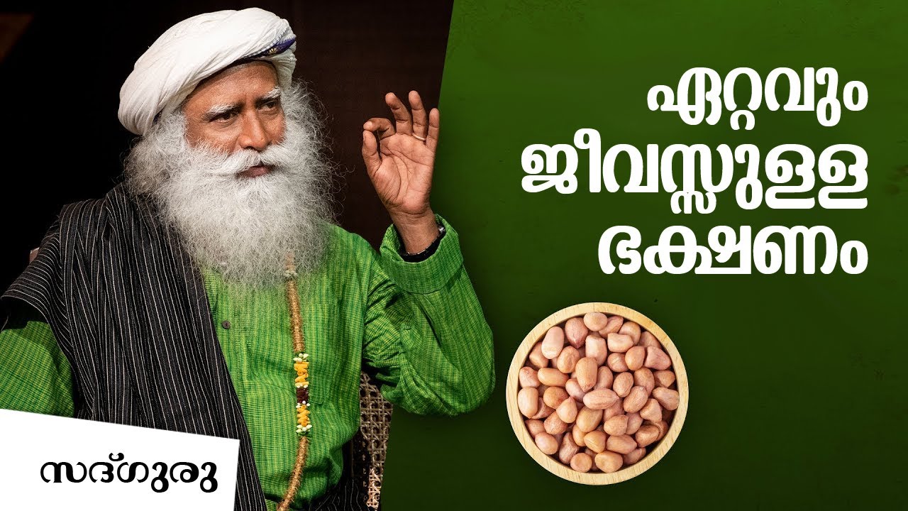 നാം കഴിക്കേണ്ട ഏറ്റവും പോഷകം നിറഞ്ഞ ഭക്ഷണം SuperFood To Boost Energy AntiAgeing |Sadhguru Malayalam