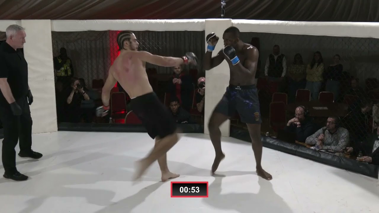 Lion Fighting Championships 30 - Niah Roberts vs Art Hasimi
