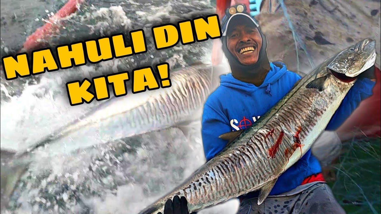 DAMBUHALANG TANIGUE #japersniperofficial#chongluistv#sowierdfamily