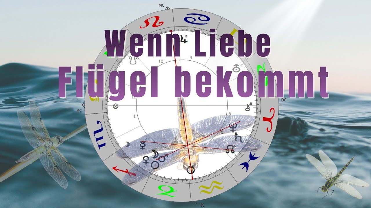 Neumond Schütze am 20.12. 2025: Die Libelle 