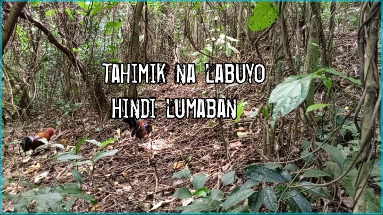 Tahimik na lumapit sa pangate