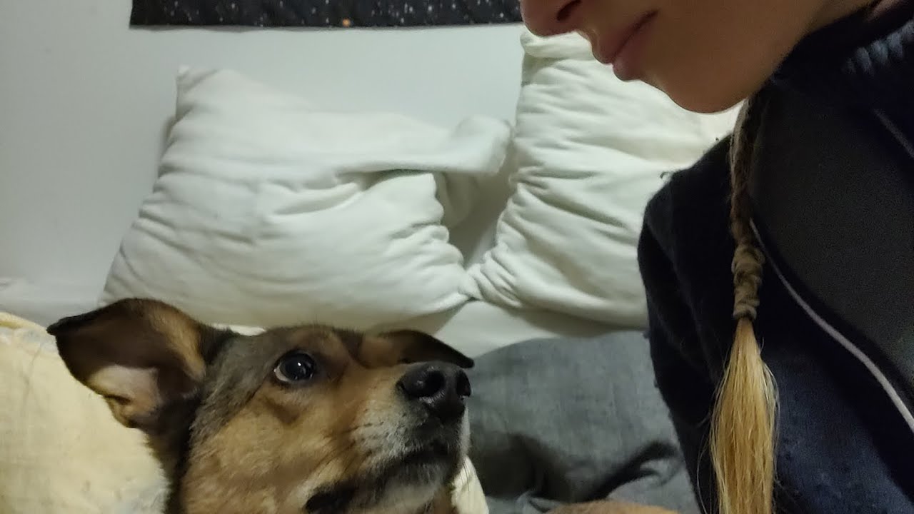 Ketogene Ernährung im Krankenhaus & Natz' erster Urlaub