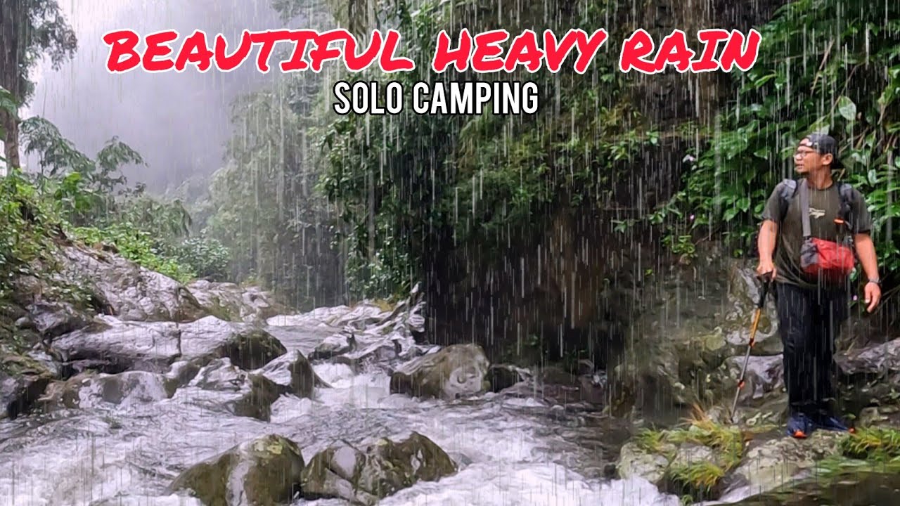 SOLO CAMPING HEAVY RAIN - УДИВИТЕЛЬНАЯ ПРОГУЛКА ПО ЛЕСУ - ПРОВЕДЕНИЕ ВРЕМЕНИ С ДОЖДЕМ - ASMR