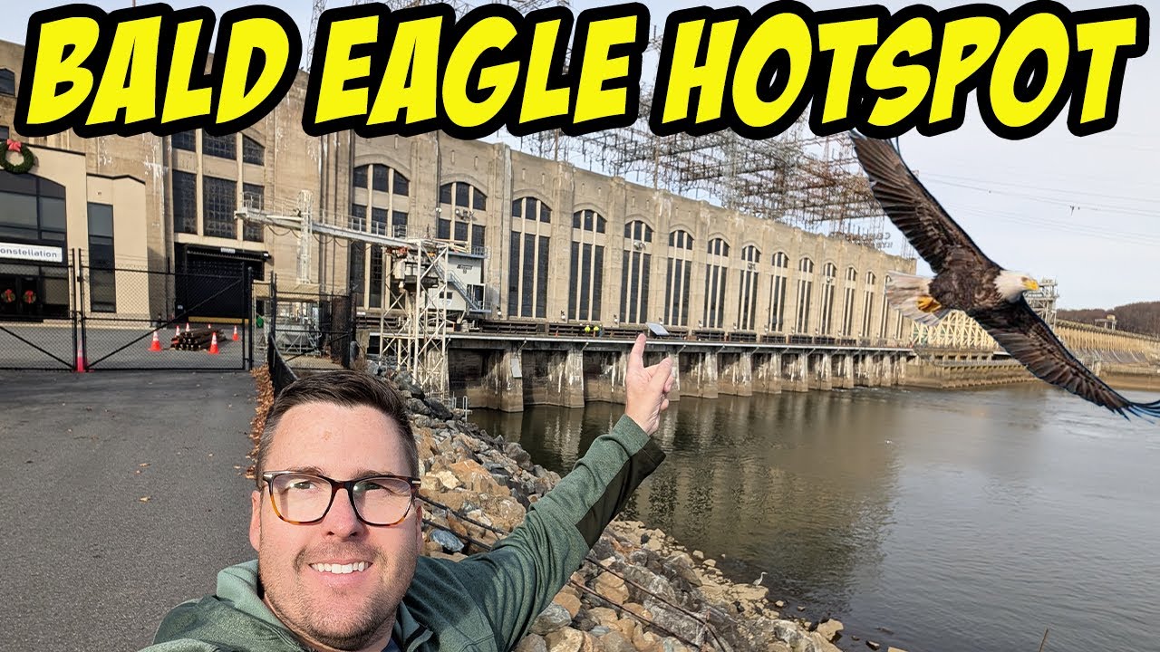 Bald Eagles at Conowingo Dam - the drive, the dam, and a photographer's POV! | jamzDOTnet #492 |