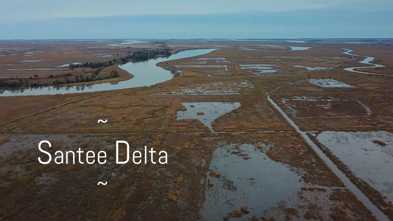 Georgetown SC Rice Fields - The Santee Delta - dreamy aerials to music by Nils Frahm