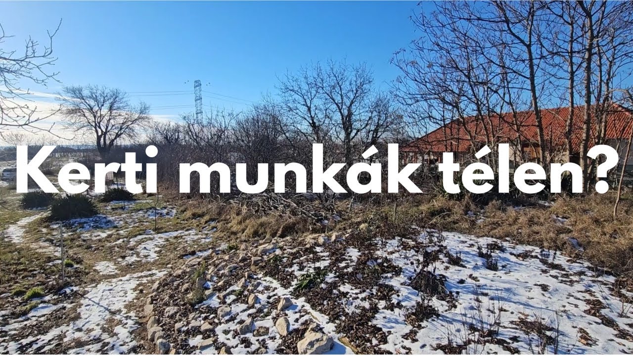 Télen sem áll meg a kert: ezek a munkák MOST is elvégezhetők