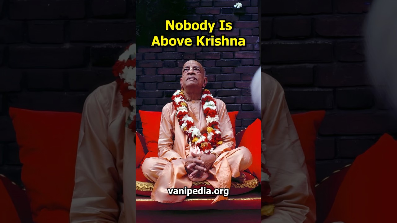 Nobody Is Above Krishna - Prabhupada 0692