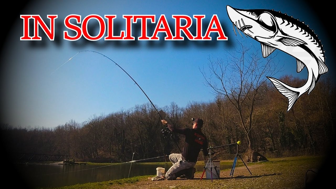 PESCA ALLO STORIONE : PESCATA IN SOLITARIA