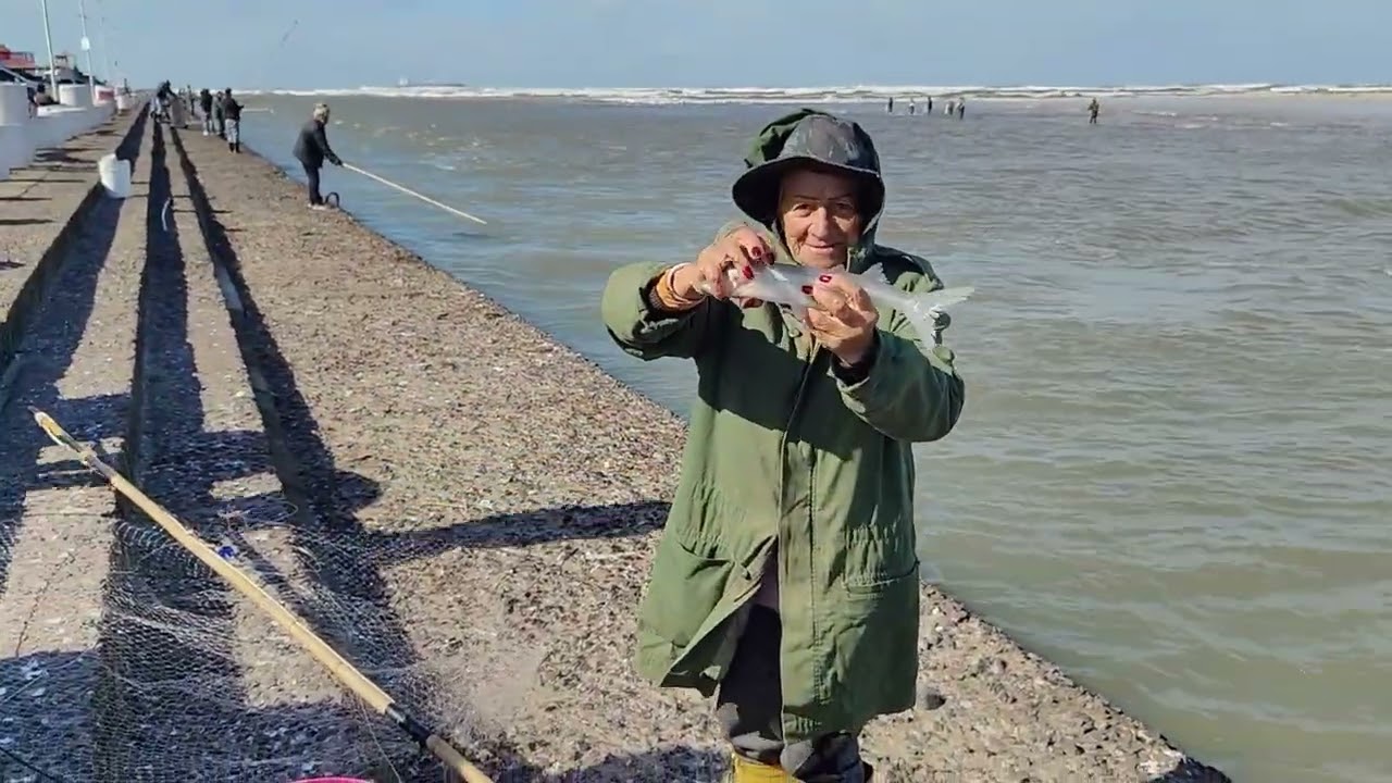 Pescas de peixes-rei com cocas,  Escadaria da Barra,  Imbé, RS. #peixerei #imbé #pescarias