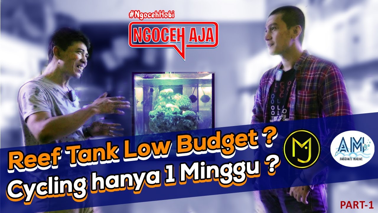 Memulai Reef Tank feat Om Burhan MJ Fish, Pemula Wajib Tau !!!
