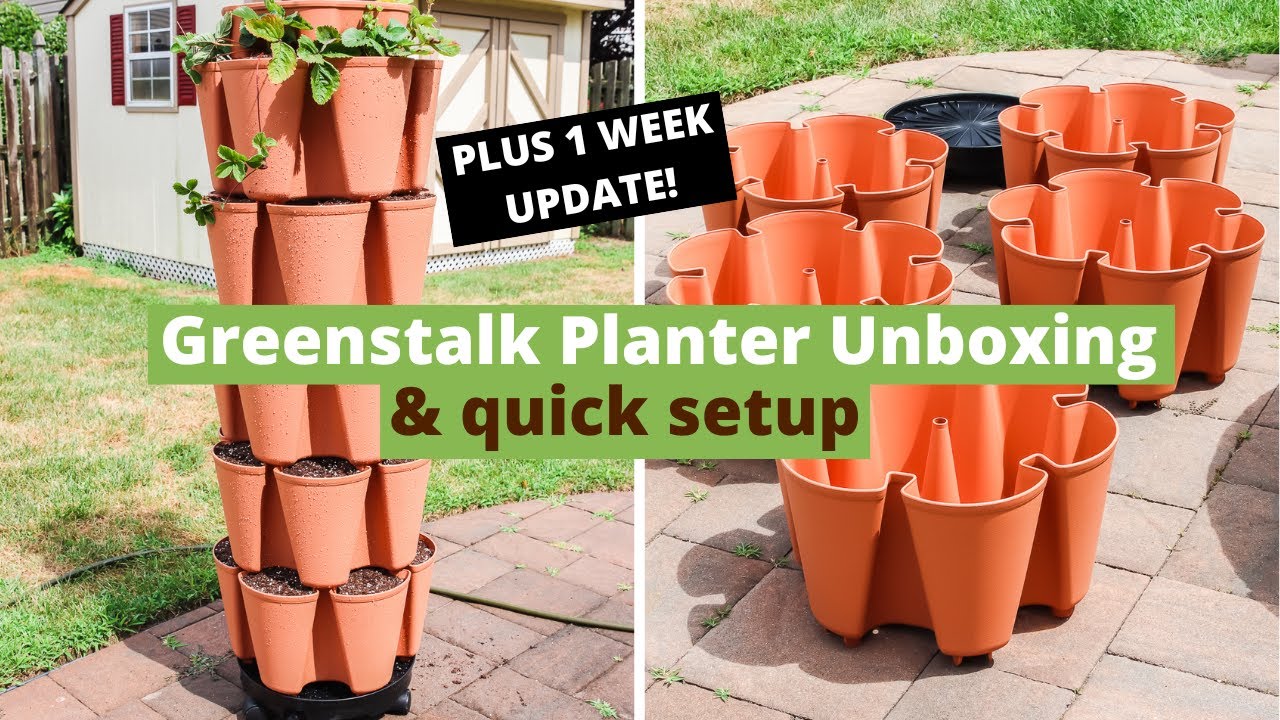 The Best Vertical Planter (Greenstalk Unboxing & Review)