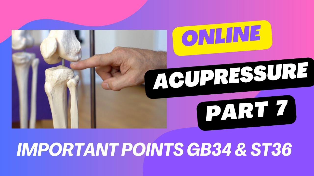 Points near the Knee St36 & Gb34, digestive, energy, stiffness, hip pain, etc