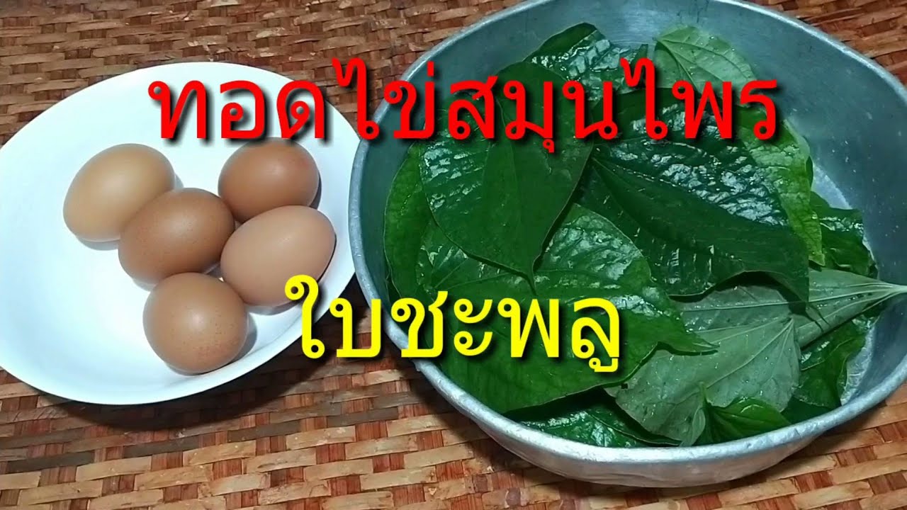 #ทอดไข่สมุนไพรใบชะพลู #กรอบนอกนุ่มใน / แป๊ะอ้วน ชวนทำครับ