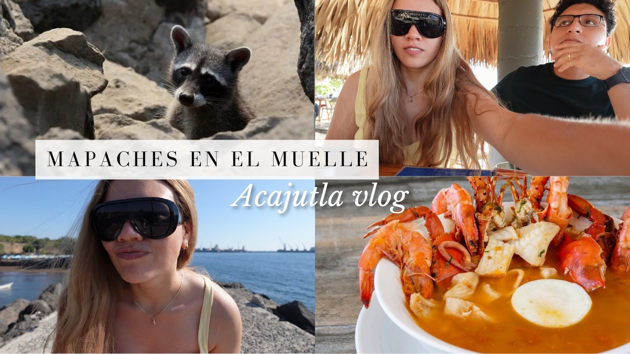 UN DÍA EN MI VIDA: Consulta Doctorsv, Nachos Irresistibles y Mapaches en la Playa!