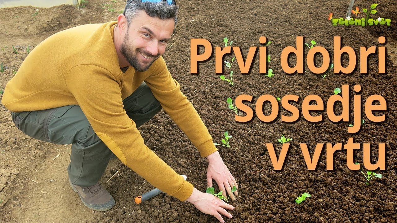 Prvi dobri sosedje v vrtu