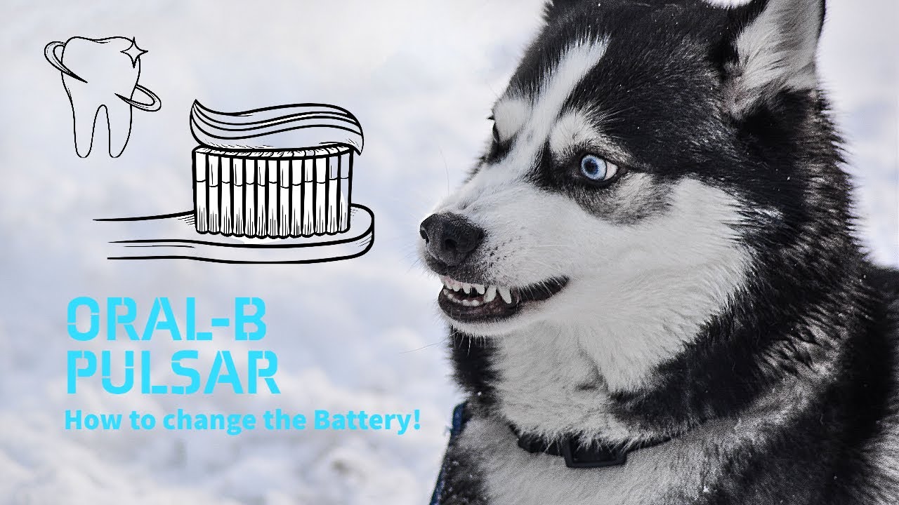 Oral-B Pulsar Battery Change - How to extend the lifetime!