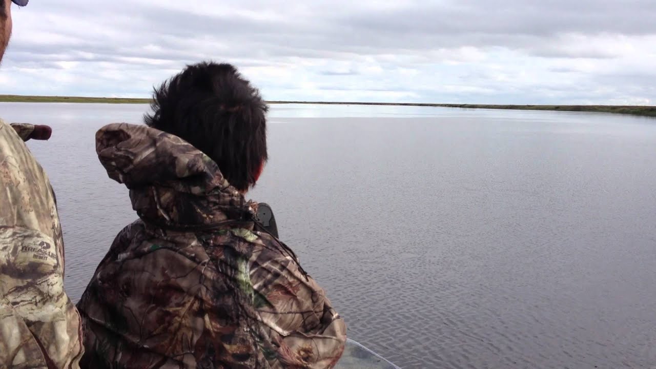 Seal Hunting 2