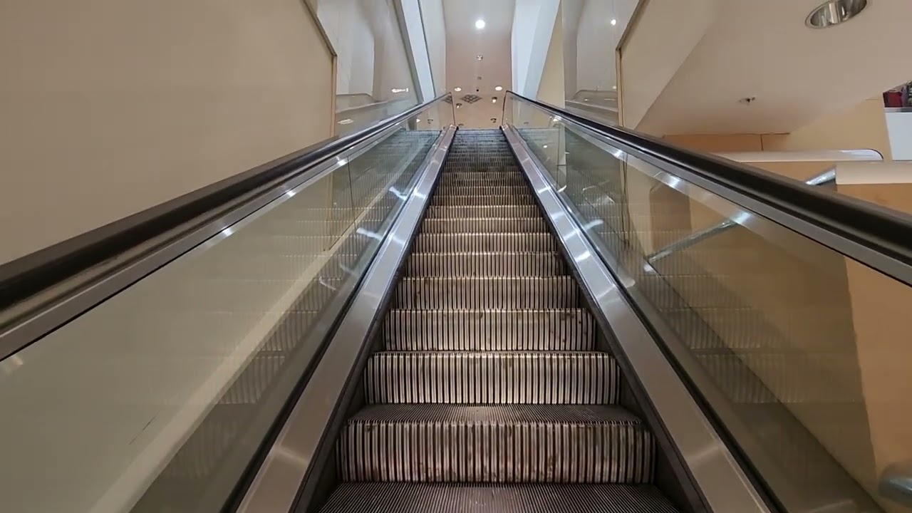 Montgomery Escalators @ Dillard's, Franklin Park Mall, Toledo, OH