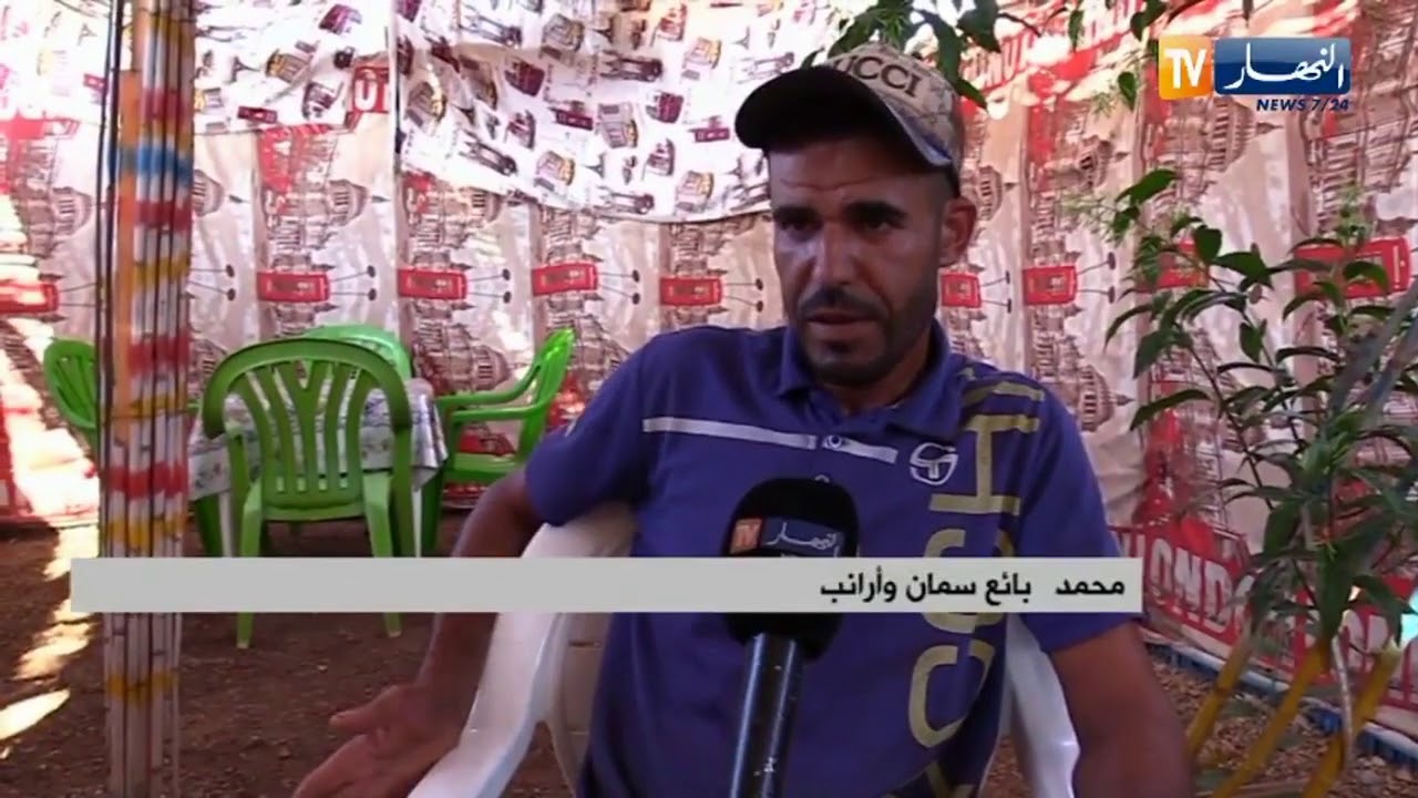 بيع الأرانب والسمان .. إنتظار لساعات طويلة مقابل مداخيل قليلة
