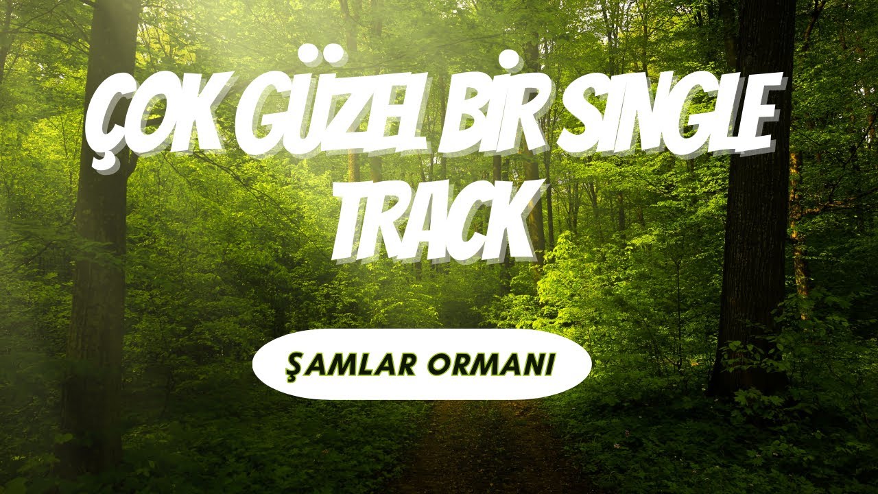 İstanbul'da Cangıl Koşusu - Cennet Vadisi - Şamlar Ormanı - Ham görüntü