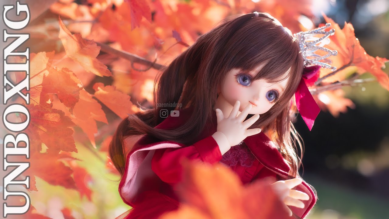 Dolpa LA 5 - VOLKS スーパードルフィー 25th Anniversary Dear SD Nao なお Unboxingドール 着せ替え 인형 드레스 업