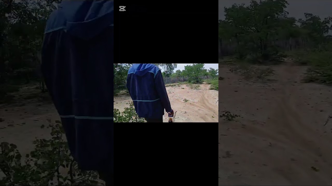 Explore Ngwana forest with me