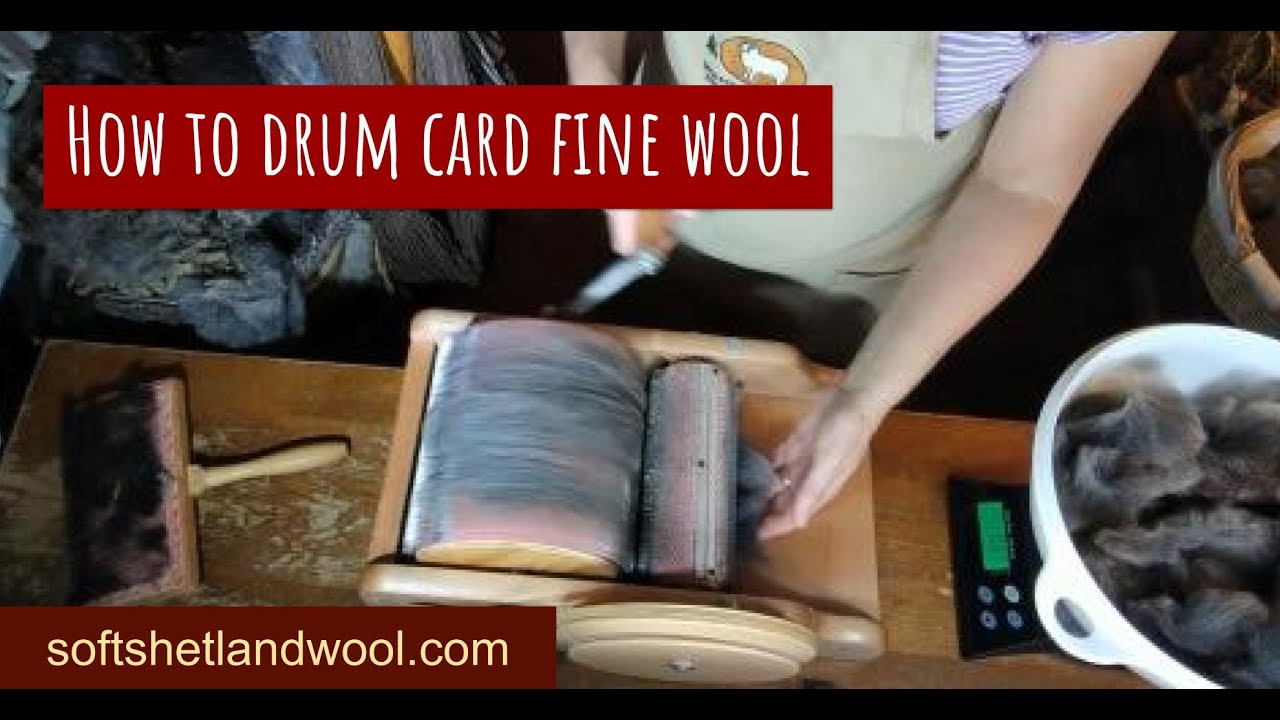 Carding Fine Shetland Flicked Locks into Batts on Drum Carder