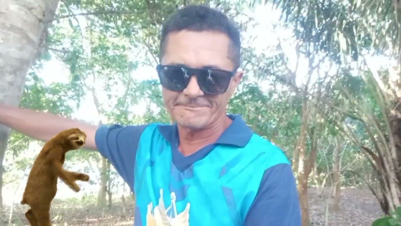 18 de fevereiro de 2026