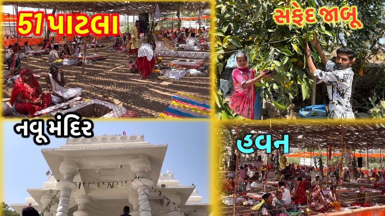 51 પાટલા હવન ગામ ખરેડ અને સફેદ રંગના જાંબુડા। ￼￼ Patla￼ Havan