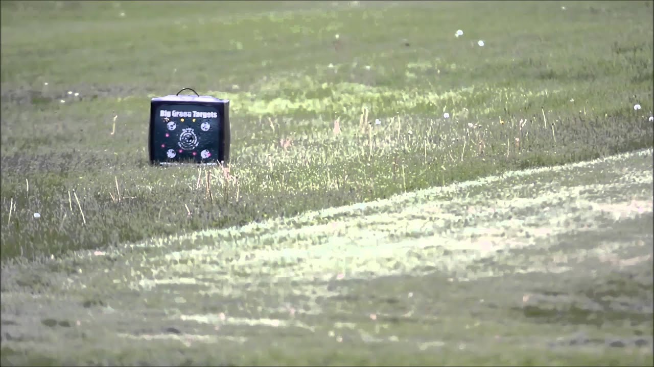 Excalibur Micro 335 40 yard group