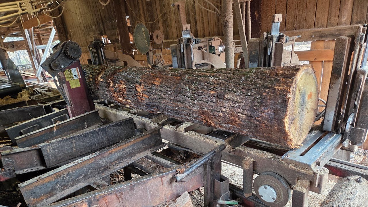 Sawing some 12ft poplar #234