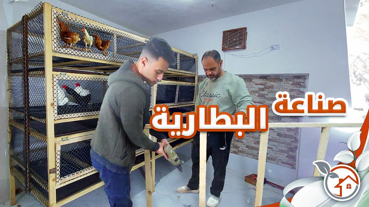 طريقة تصنيع حضان او بطارية دجاج تسمين اتوماتيك باقل تكلفة خطوه بخطوه