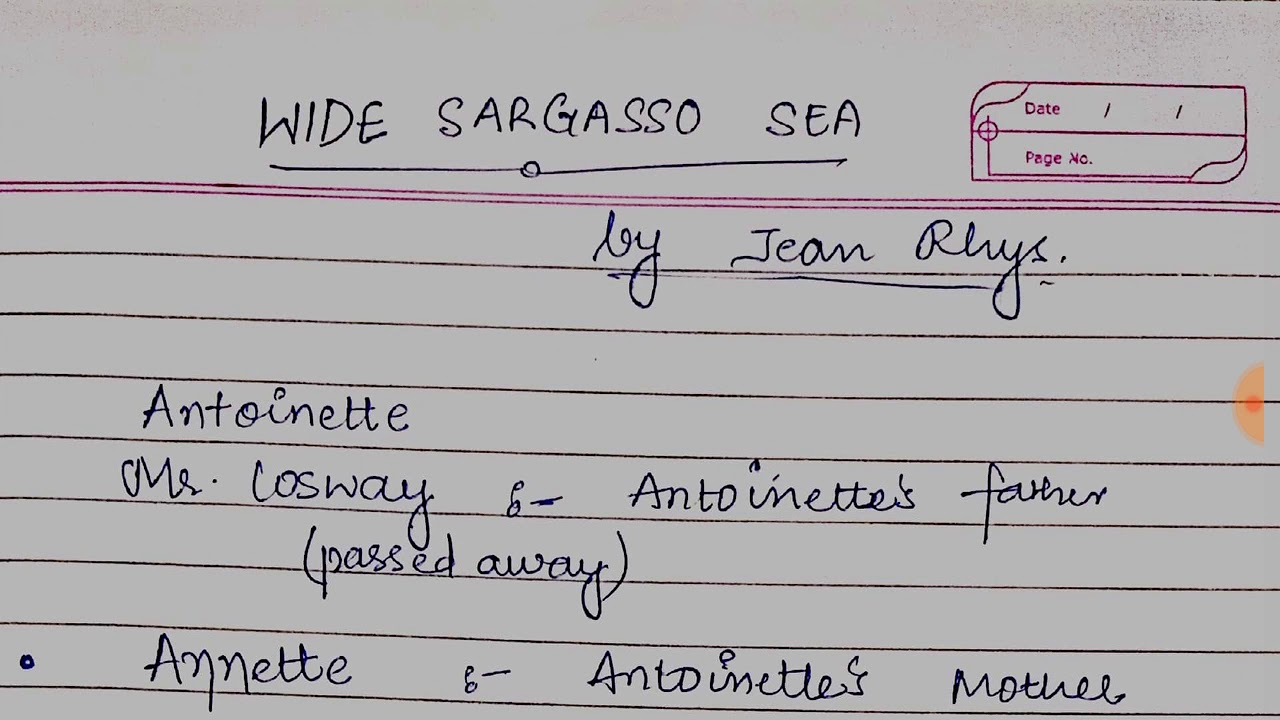 WIDE SARGASSO SEA BY JEAN RHYS //summary explained in hindi//
