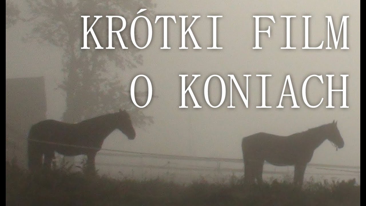 Krótki film o koniach