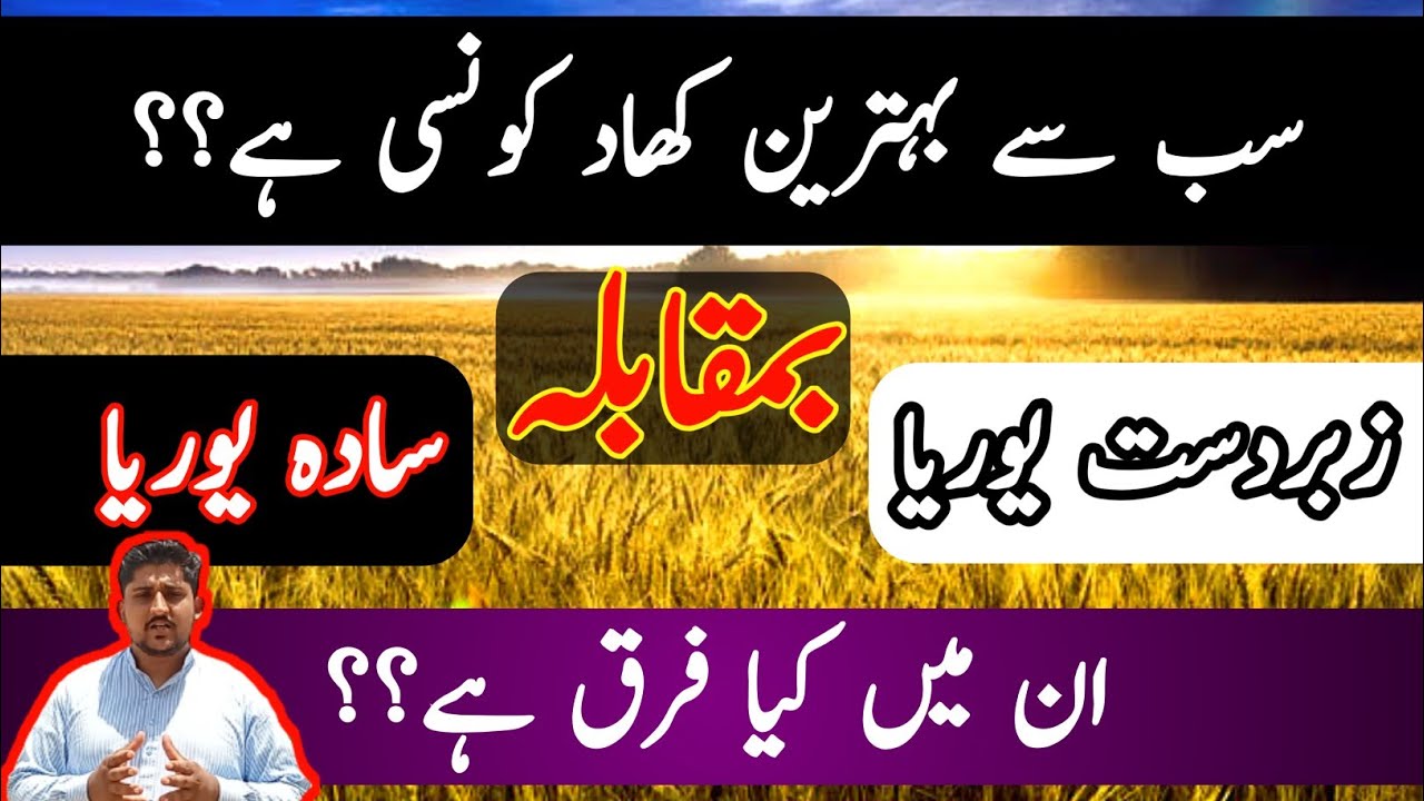 What is the difference of Sada urea and zabardast urea | Difference of Simple and Zabardast Urea