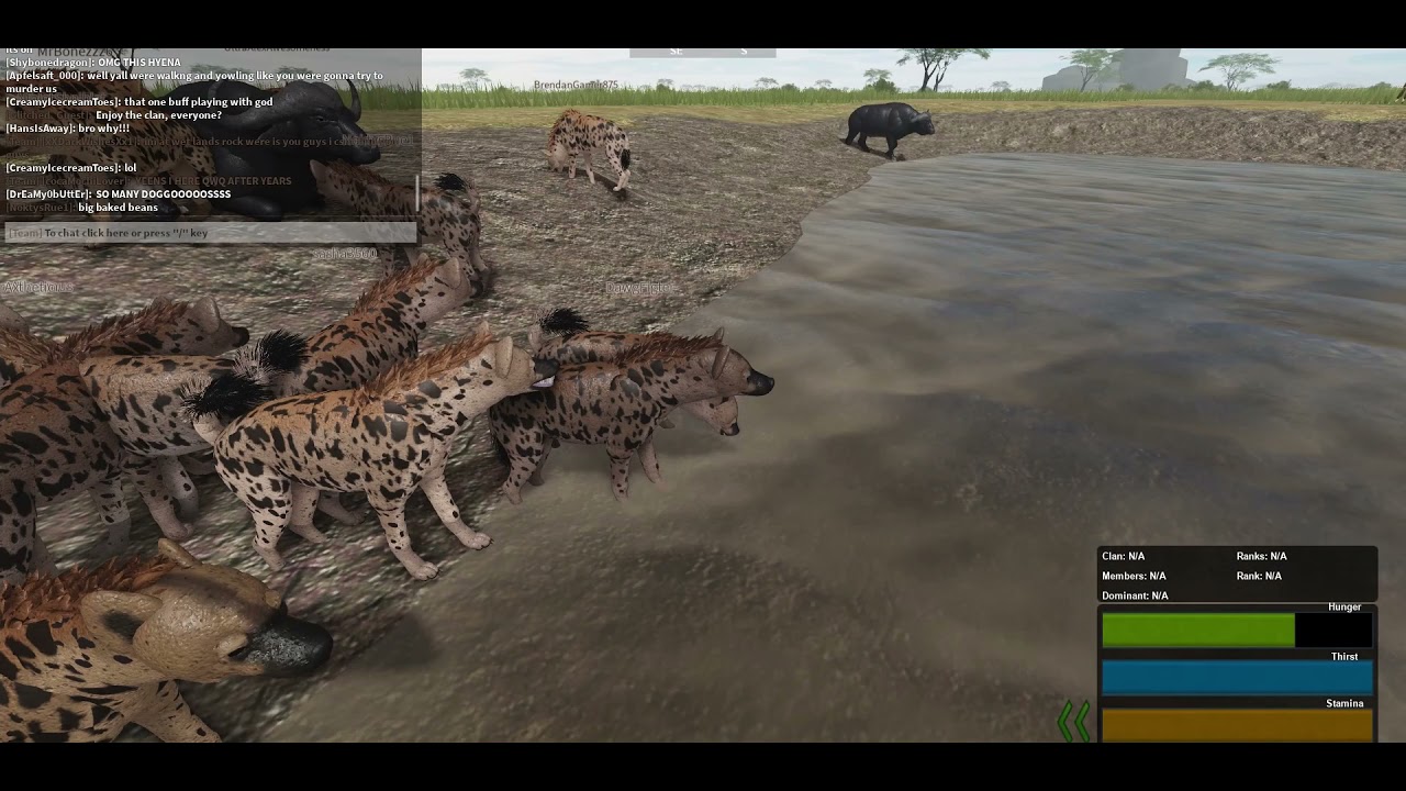 This is What Happens When You Mess With A Huge Hyena Clan