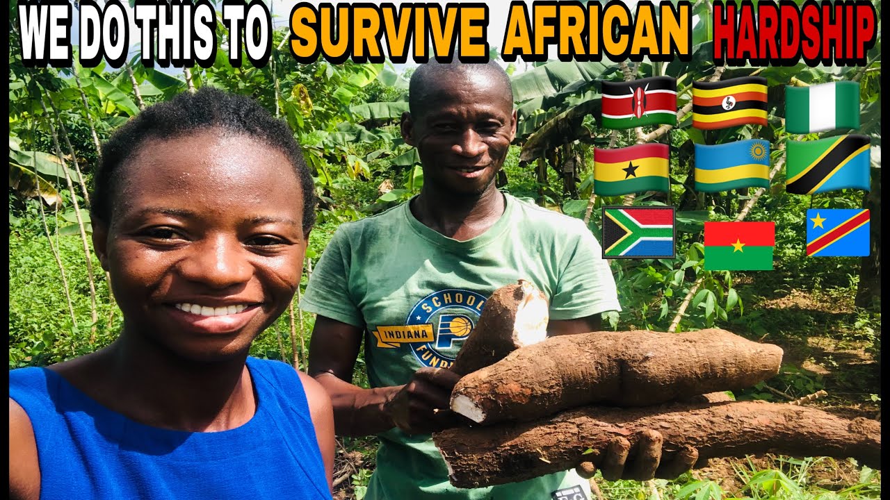 REAL LIFE IN AFRICA|SURVIVING IN AFRICA WITHOUT MONEY|CASSAVA FARMING IN GHANA WEST AFRICA #africa