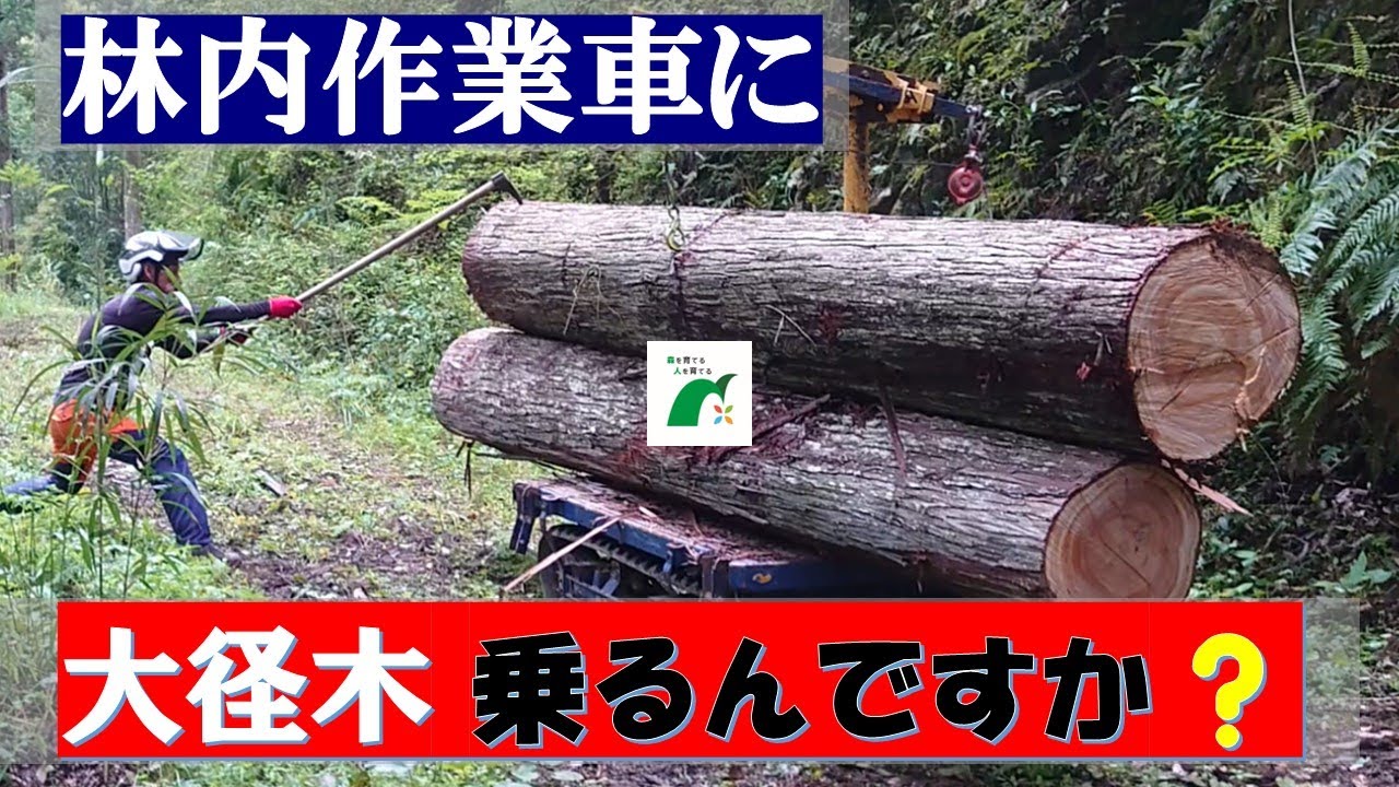 【木と人を繋ぐ学び舎】第2回「大径木は積めるのか?林内作業車の操作を見学」