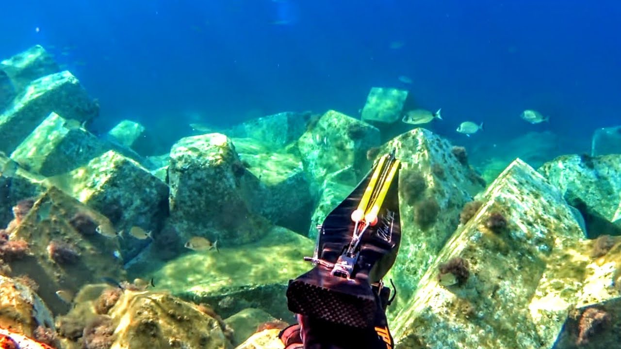 ΤΕΡΑΣΤΙΟΙ σαργοί στα ΡΗΧΑ με ψαροντούφεκο -  Spearfishing HUGE sargos in SHALLOW waters