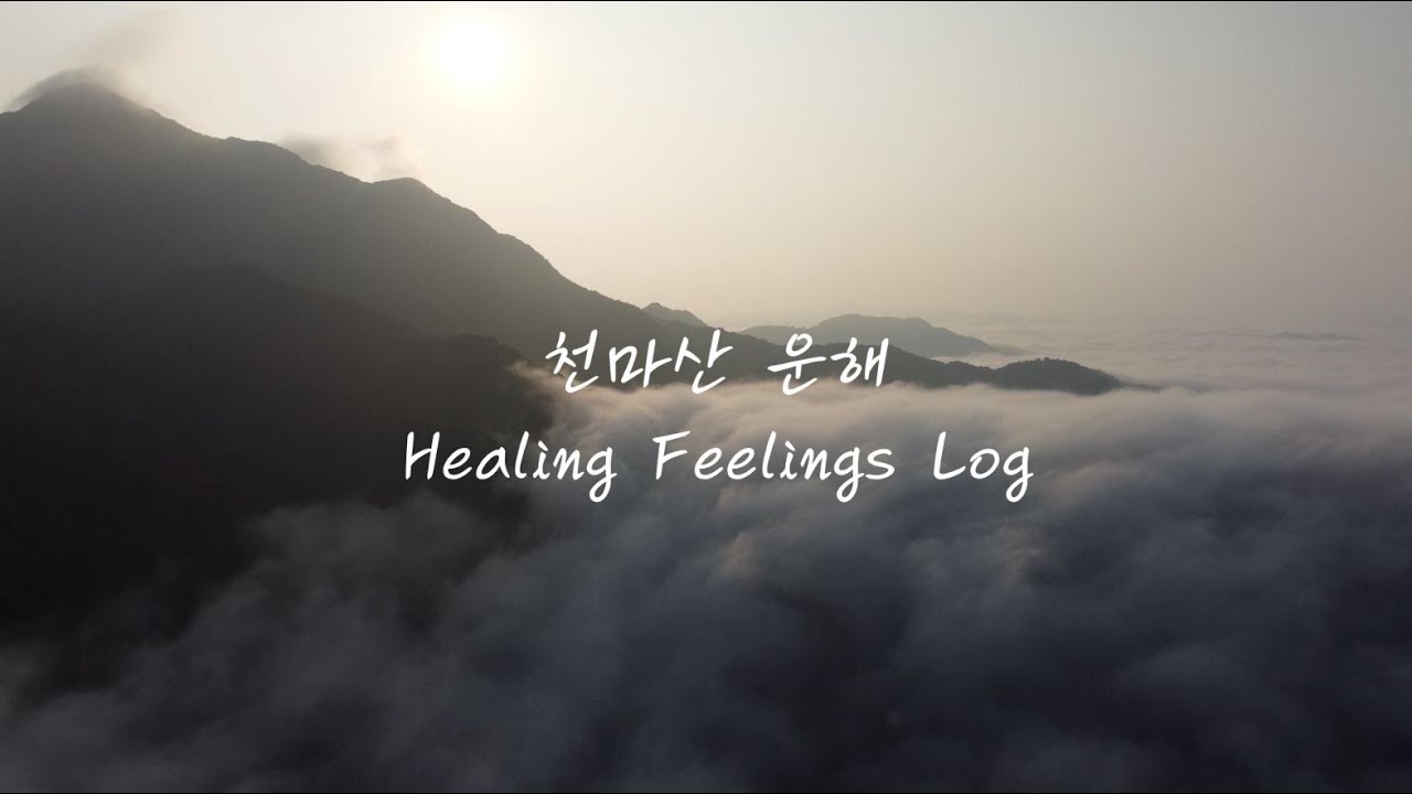 천마산 운해 | 안개폭포 | 드론영상 | 힐링영상 | Healing Feelings | 힐링필링