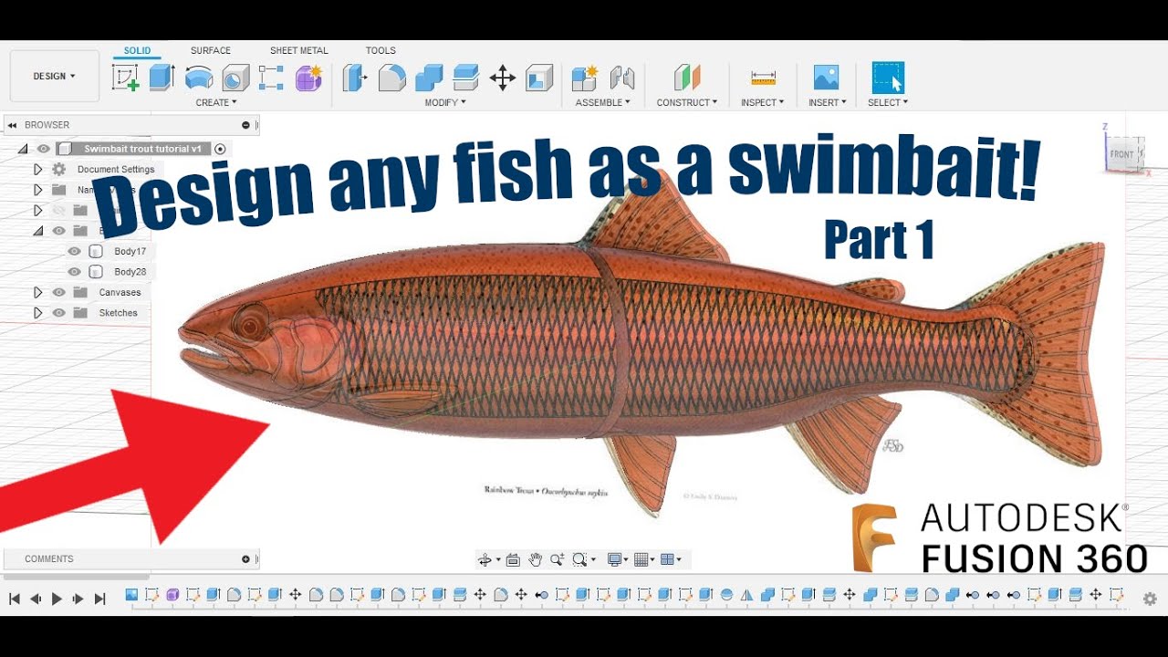 Design any fish you want as a swimbait with Fusion360! Part 1 the body