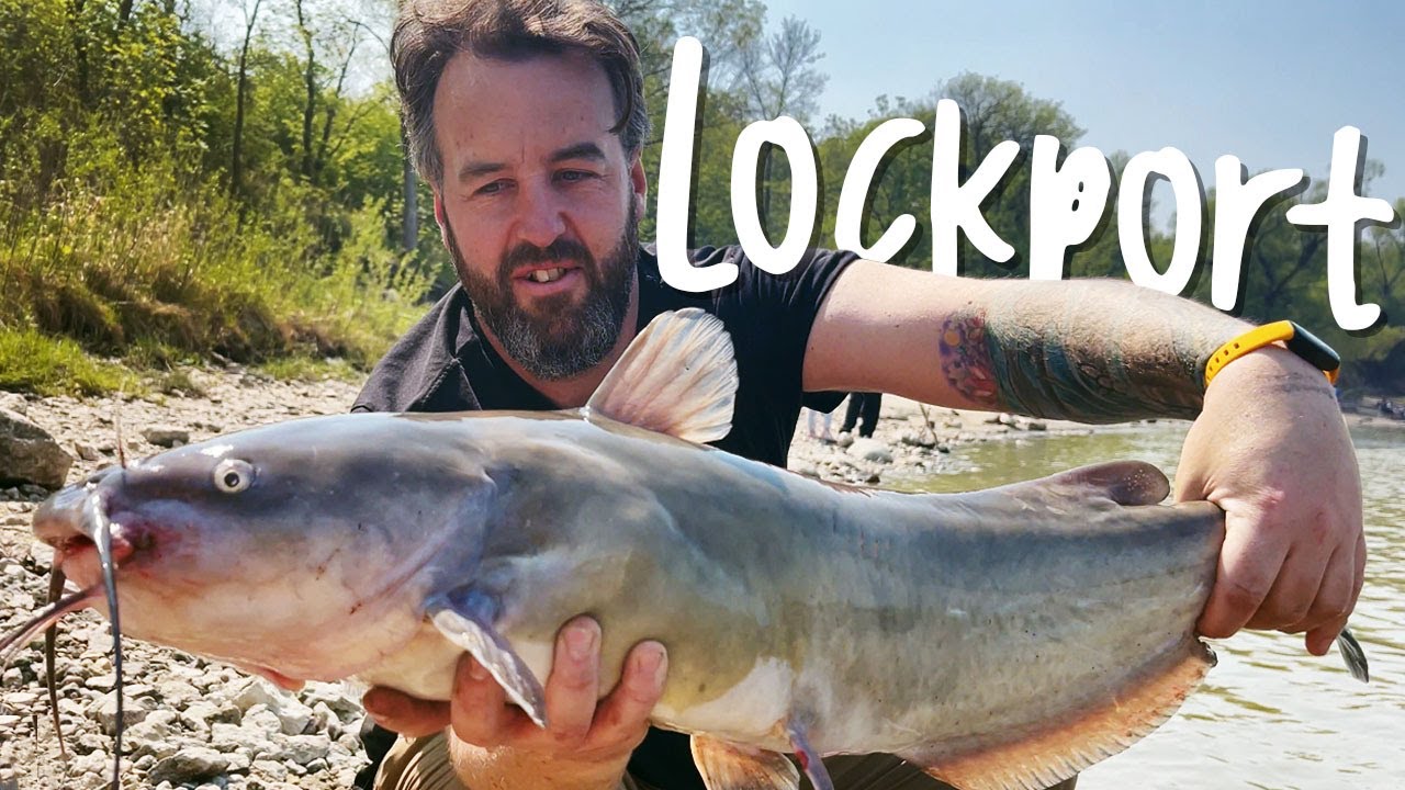 Monster Channel Catfish at Lockport, Manitoba – Top Fishing Spot in Canada!