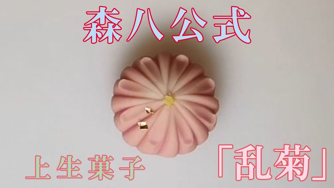 【森八】和菓子作り教室「乱菊」の作り方