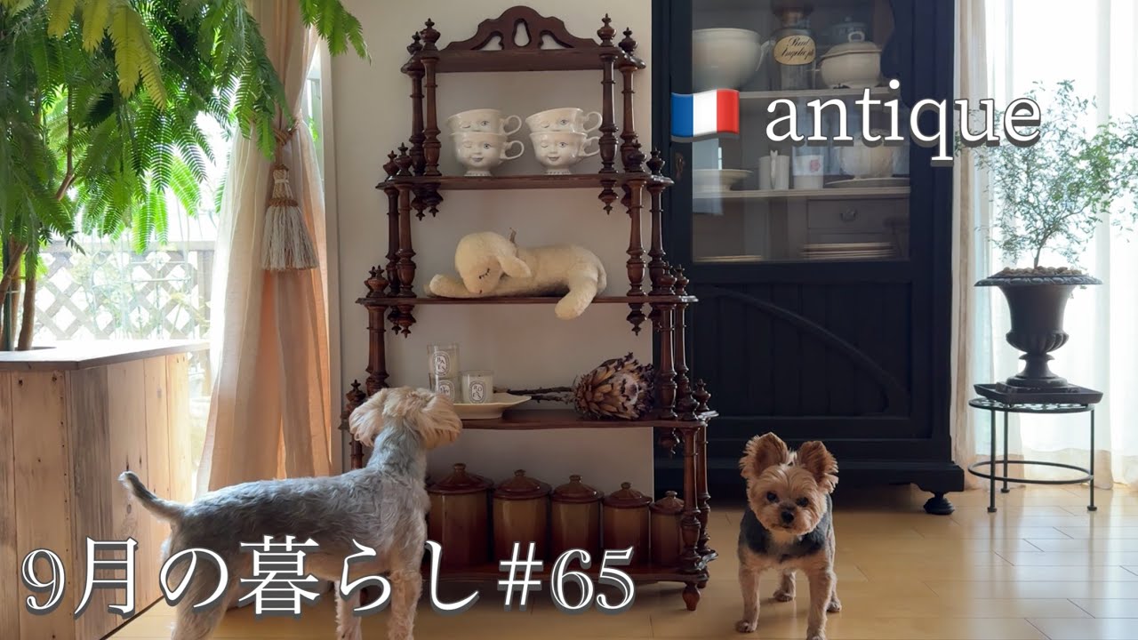 骨董市でみつけた🇫🇷アンティークのシェルフ/ 購入品紹介