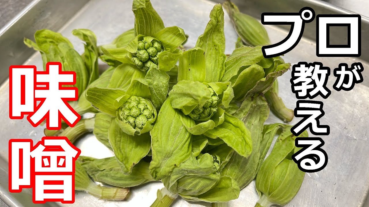 【簡単】【山菜】プロの日本料理人が教える、蕗味噌の作り方